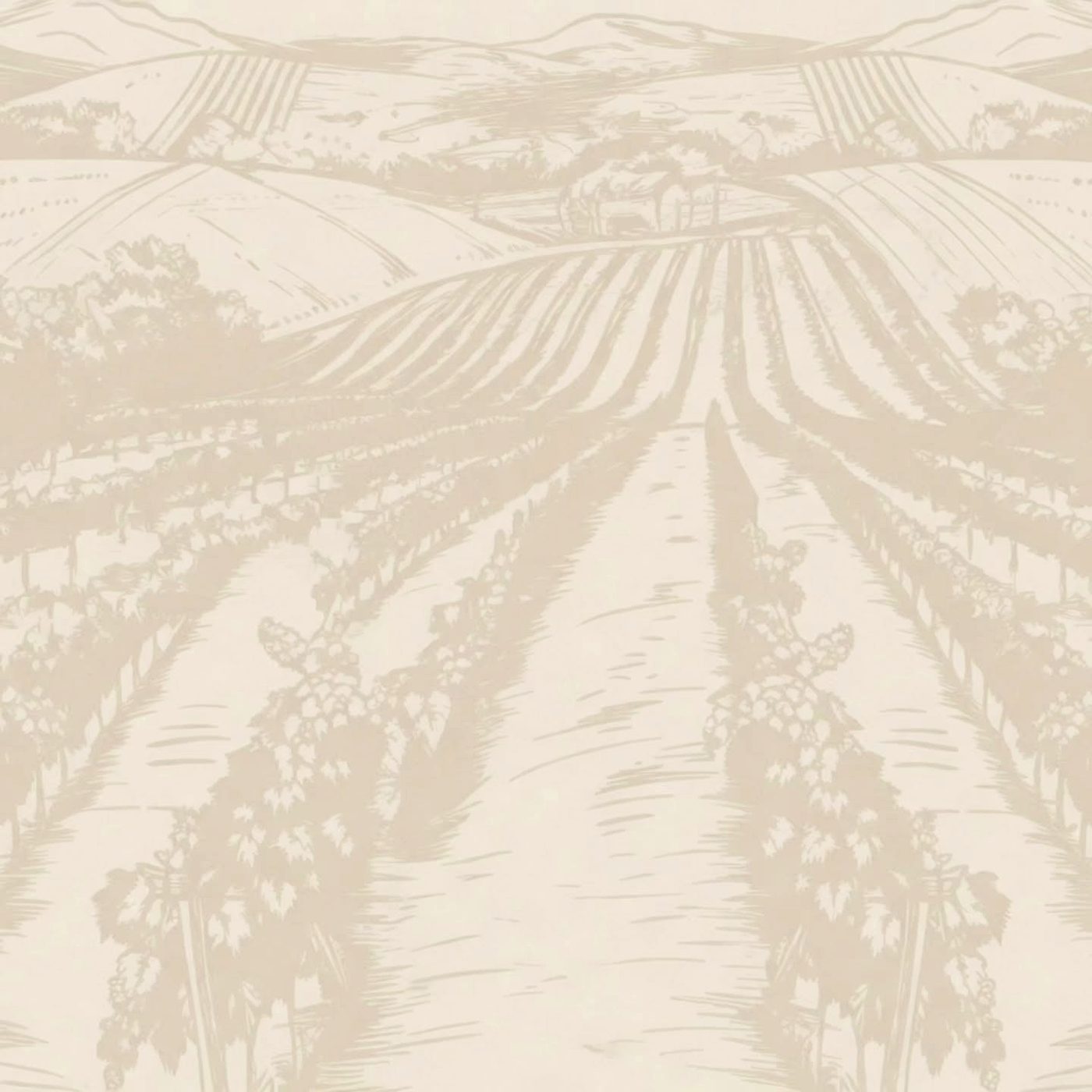 Wrap design vineyard brainstorm graphic